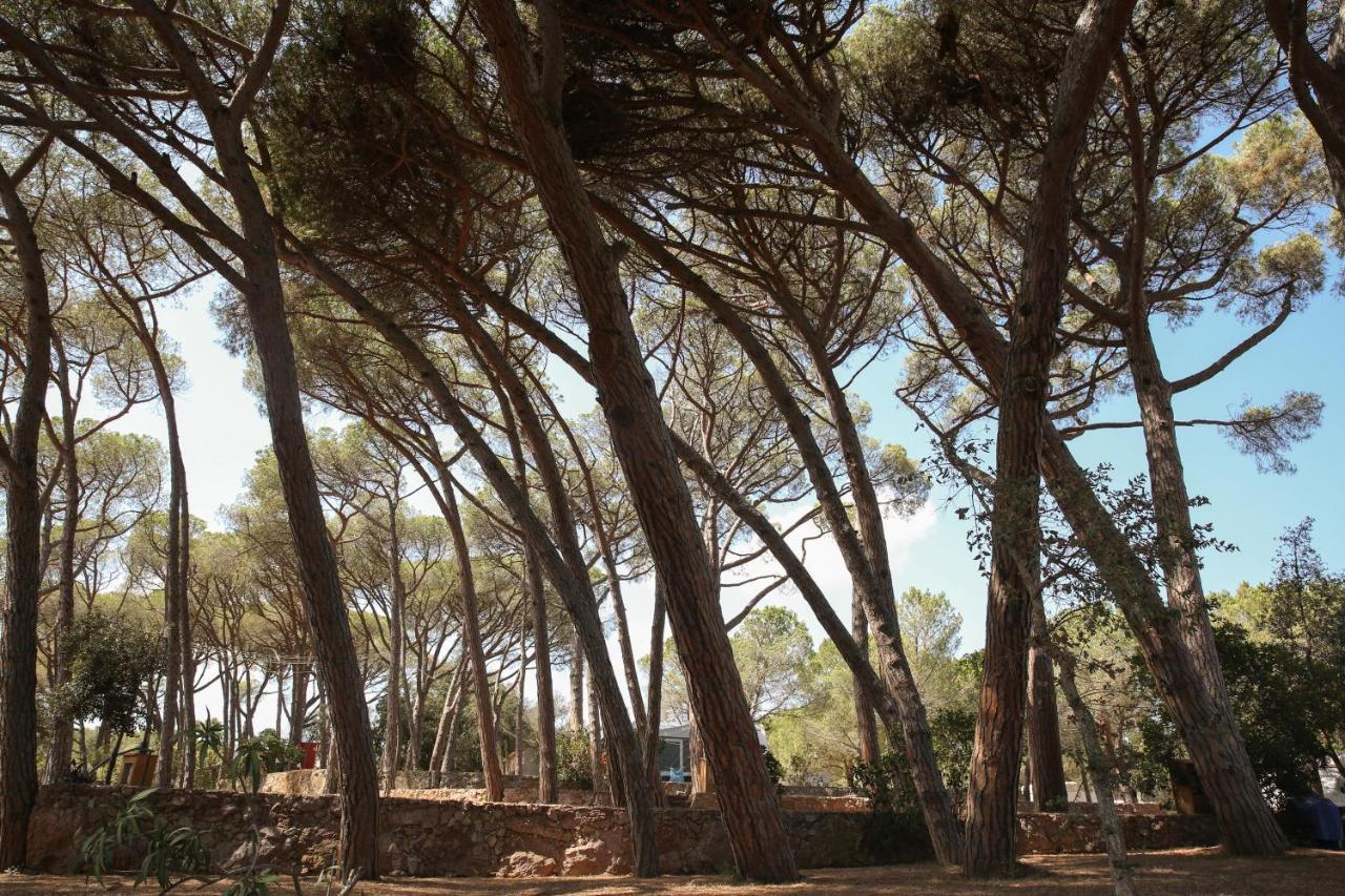 Camping 3 Estrellas Costa Brava Vall-Llobrega Ngoại thất bức ảnh